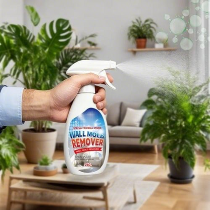 UP TO 70% OFF🔥:Fast Acting Anti-Mold Wall Cleaner Spray