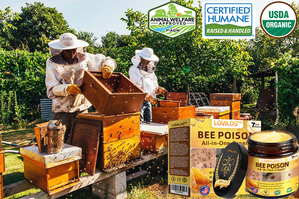 LOVILDS™ Bee Poison All-in-One Cream US Dermatologist Approved