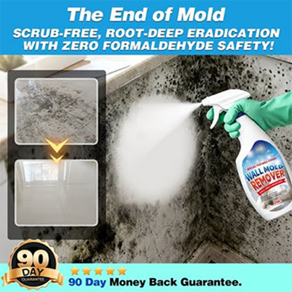 UP TO 70% OFF🔥:Fast Acting Anti-Mold Wall Cleaner Spray
